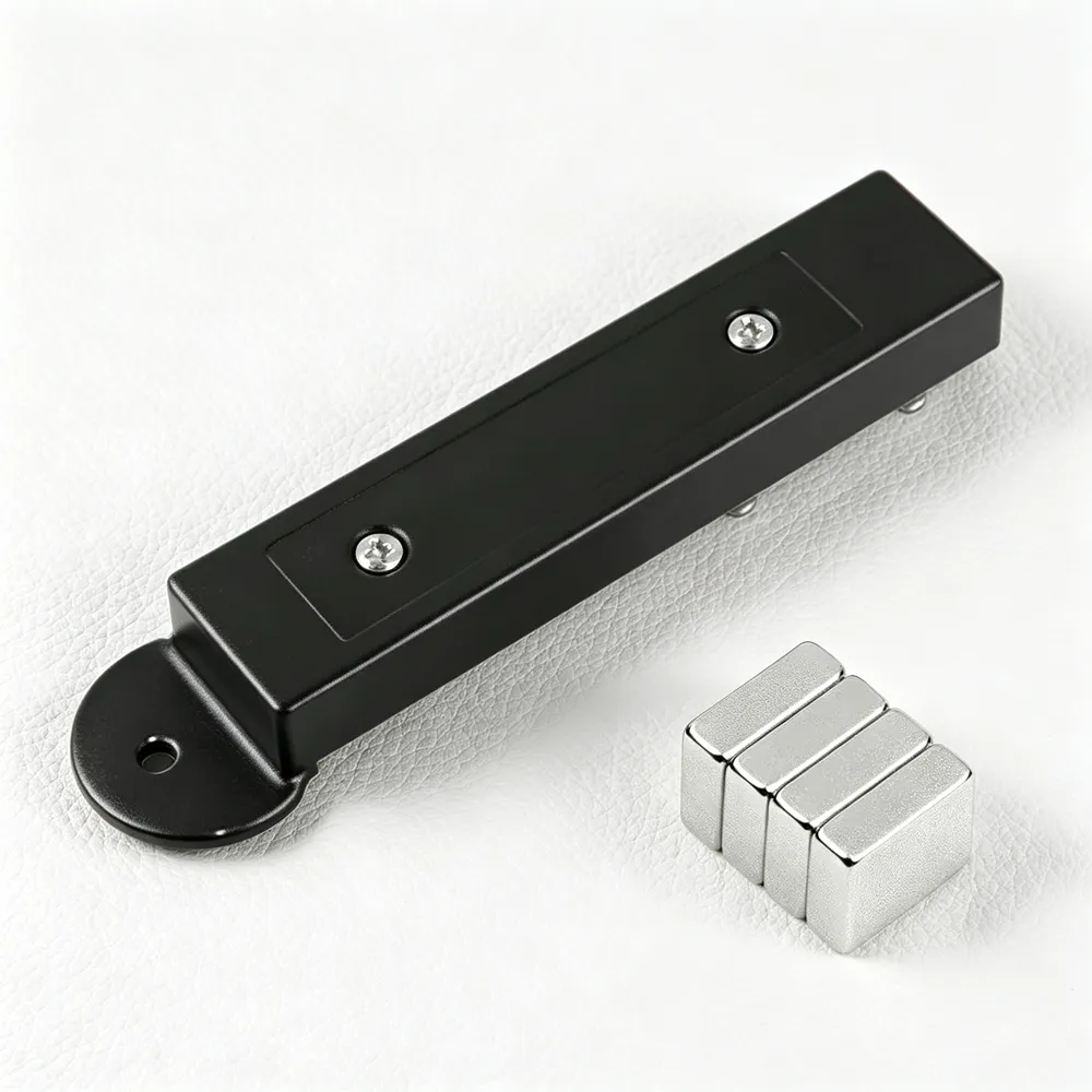Close-up of fixing screw structure on long hook lock detacher